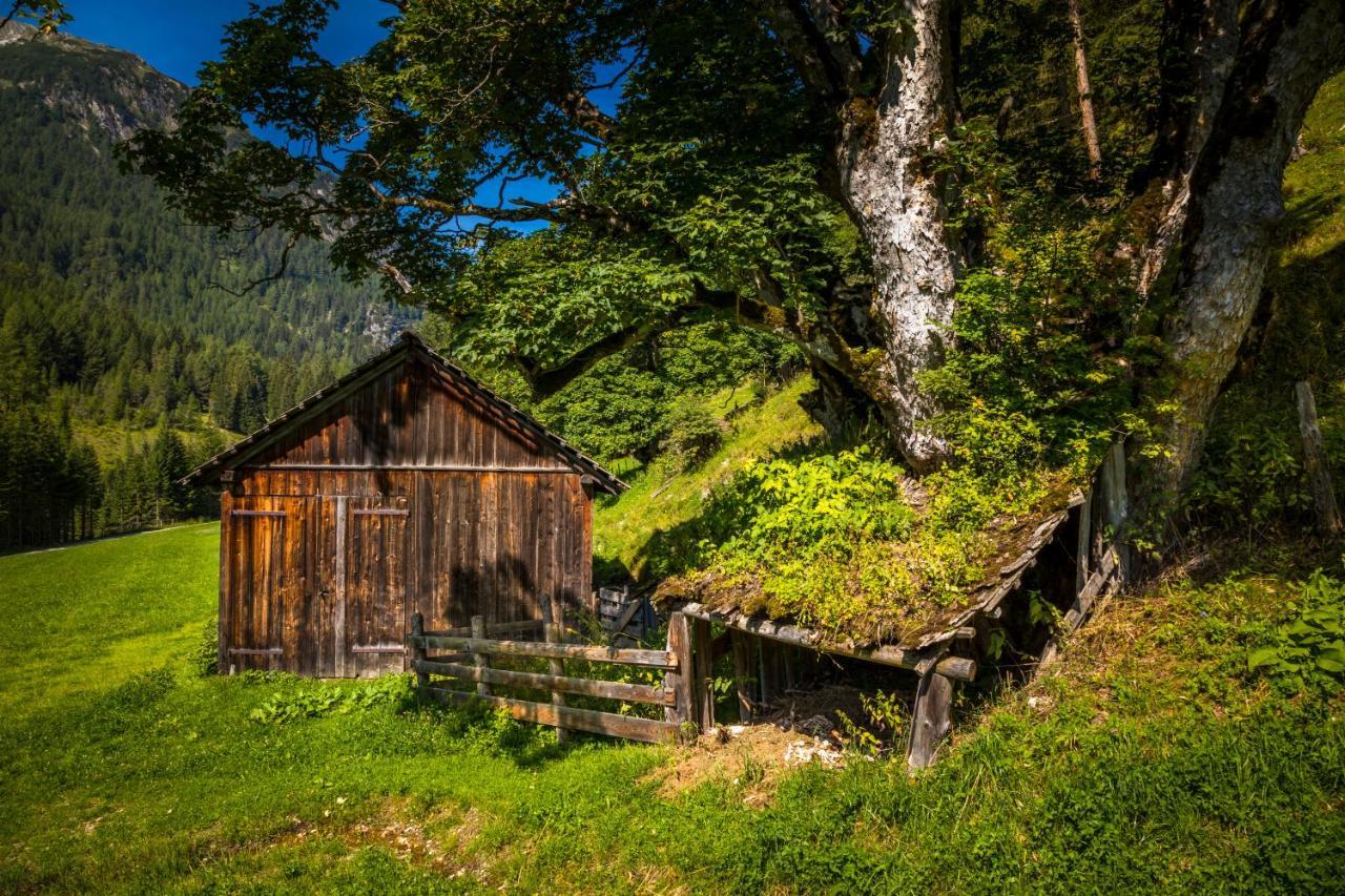 Hauserlhuette Zederhaus Luaran gambar